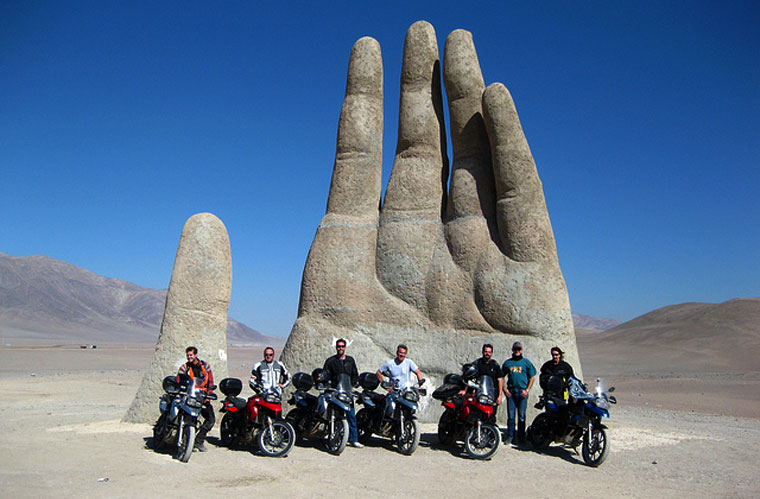Pustynna dłoń (Chile)