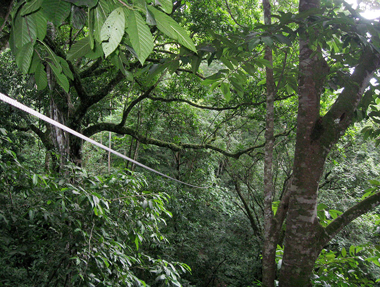 Canopy Tours, Kostaryka