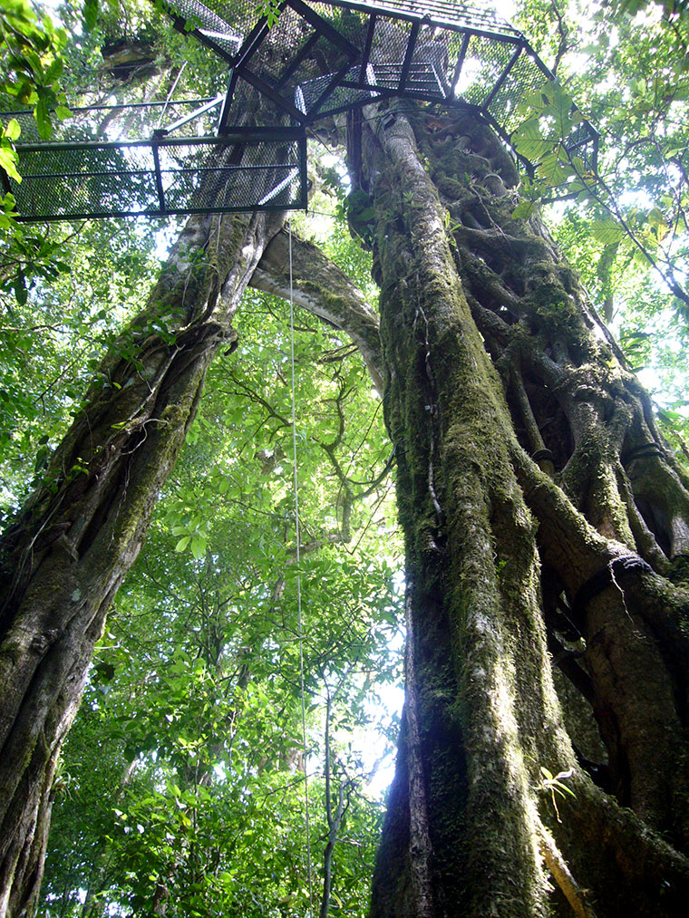 Canopy Tours, Kostaryka