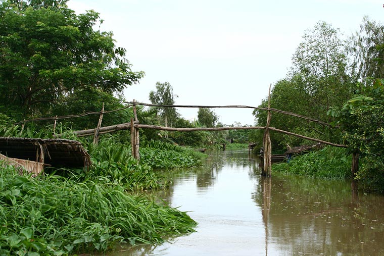 Monkey Bridges /Małpie mosty/ w Wietnamie