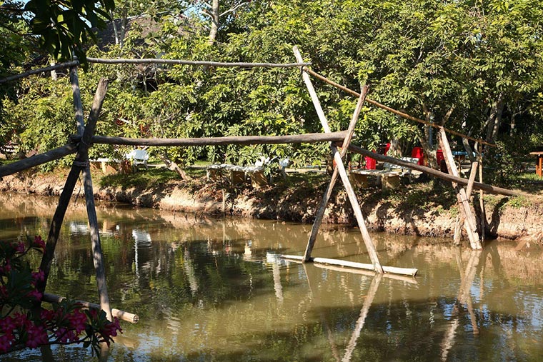 Monkey Bridges /Małpie mosty/ w Wietnamie