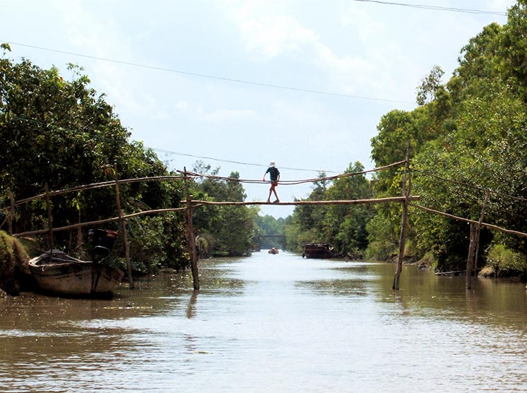 Monkey Bridges /Małpie mosty/ w Wietnamie