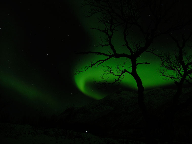 Aurora Borealis - zorza polarna, Tromso, Norwegia