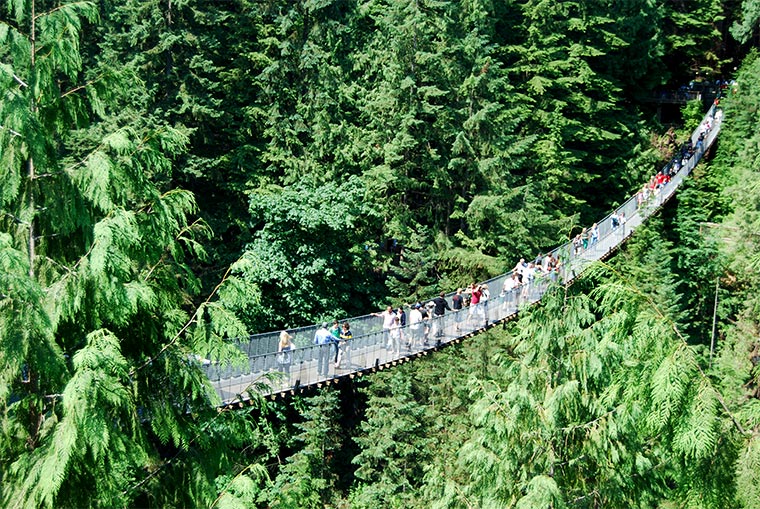 Capilano Suspension Bridge w Kanadzie